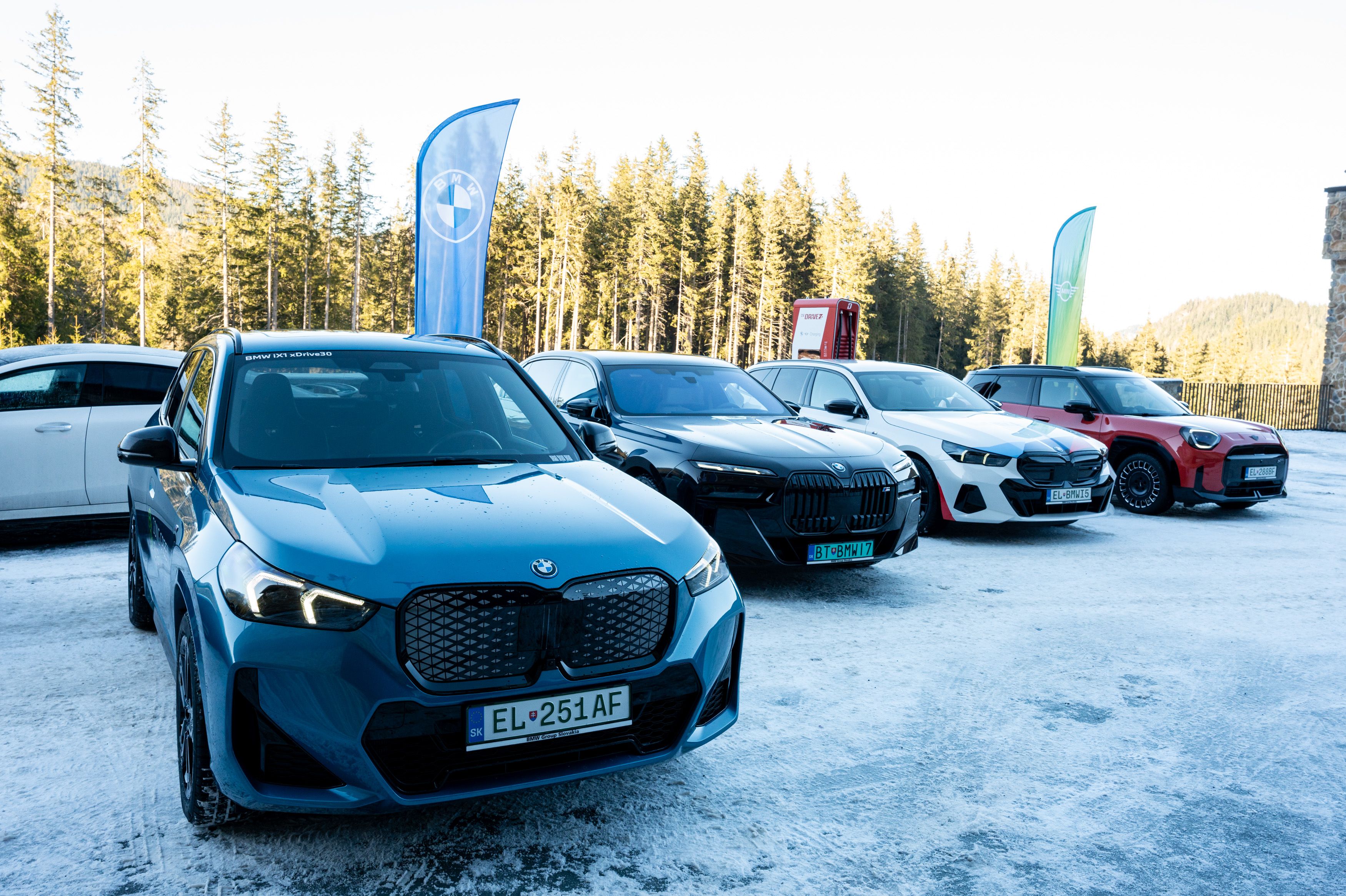 zse_bmw100.JPG